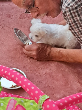 30-8-25 17.59 uur Giana eten